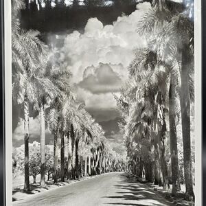 Fort Myers Florida Photograph